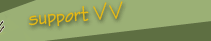support vv